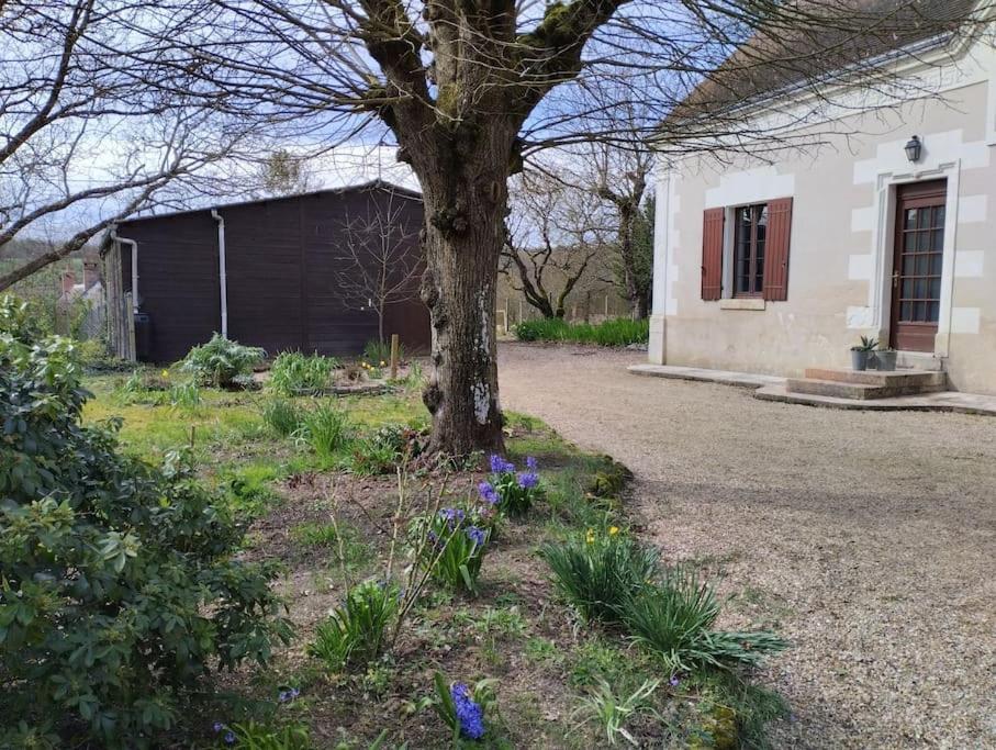 Villa La Jolie Ruche à Saint-Georges-sur-Cher Extérieur photo