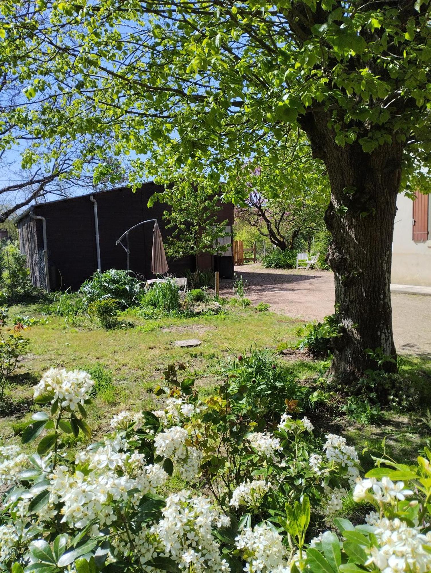Villa La Jolie Ruche à Saint-Georges-sur-Cher Extérieur photo
